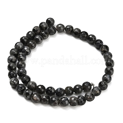 Natural Larvikite Beads Strands&nbsp;G-C280-B06-8mm