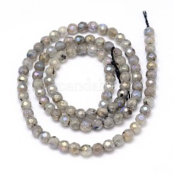 Natural Electroplate Labradorite Round Bead Strands&nbsp;G-O094-04-4mm