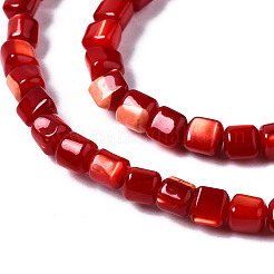 Natural Trochid Shell/Trochus Shell Bead Strands&nbsp;SSHEL-N034-77-C02