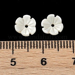 天然トロカス貝の花チャーム  フローラルホワイト  7~7.5x2.5mm  穴：1mm&nbsp;SHEL-K006-46A