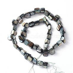 Erose Shell Beads Strands&nbsp;PBB070Y