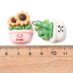 不透明樹脂ペンダント  プラチナトーンの鉄ループ付き  植物  混合図形  ミックスカラー  26~31x20.5~23x9~10mm  穴：1.8~2mm&nbsp;RESI-K048-03