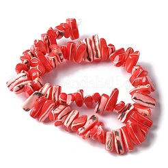 Dyed Natural Trochus Shell Beads Strands&nbsp;SSHEL-C013-09D