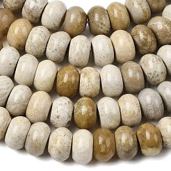 天然化石サンゴのビーズ連売り  ロンデル  8.5x5.5mm  穴：1mm  約73個/連  15.35''（39センチメートル）&nbsp;G-A280-A08-02