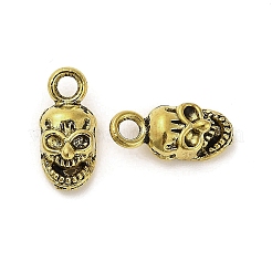 Tibetan Style Alloy Pendants&nbsp;FIND-M047-10AG