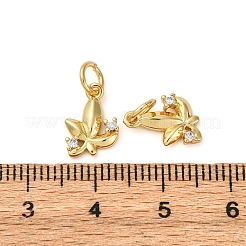 Brass Micro Pave Clear Cubic Zirconia Charms&nbsp;KK-P308-72G