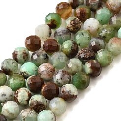 Natural Chrysoprase Beads Strands&nbsp;G-G259-D15-5mm