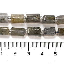 Natural Labradorite Beads Strands&nbsp;G-G068-A10-01