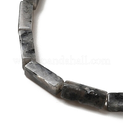 天然ラルビカイトビーズ連売り  長方形  13~13.5x4~4.5x4~4.5mm  穴：1.2mm  約29個/連  15.24''（38.7センチメートル）&nbsp;G-G873-A04-01