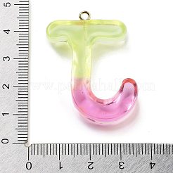 Resin Pendant&nbsp;LS-FIND-Q107-01J-03