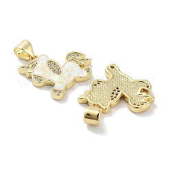 Brass Micro Pave Clear Cubic Zirconia Pendants&nbsp;KK-L213-031G