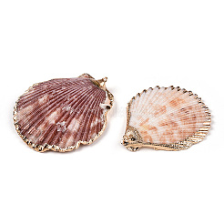 Electroplate Multicolor Sea Shell Pendants&nbsp;X-SSHEL-S262-31