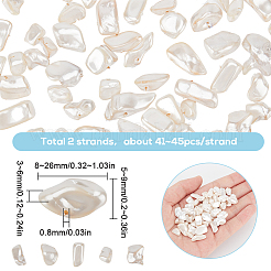 2 Strands Spray Painted Natural Freshwater Shell Beads Strands&nbsp;SHEL-SC0001-46