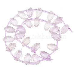 Natural Amethyst Beads Strands&nbsp;G-P607-A05-01
