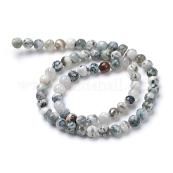 Natural Tree Agate Bead Strands&nbsp;X-G-R411-25-4mm