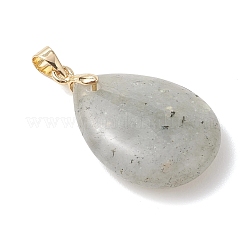Natural Labradorite Pendants&nbsp;PALLOY-JF04953