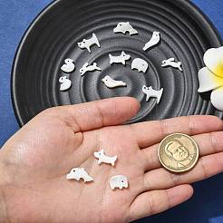 動物テーマの天然ホワイトシェルビーズセット 14スタイル 7個  混合図形  6.5~11.5x9~16.5x2~2.5mm  穴：0.8~0.9mm  2個/スタイル&nbsp;FIND-CJ0004-74