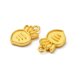 Alloy Charms&nbsp;FIND-G057-05MG