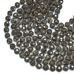Natural Red Snowflake Obsidian Beads Strands&nbsp;G-K389-B37-01