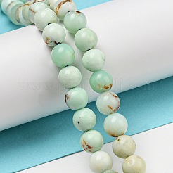 Natural Green Opal Beads Strands&nbsp;G-R494-A08-02