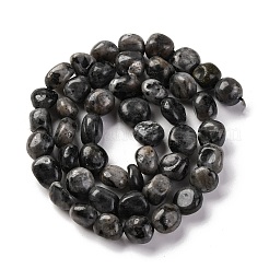 天然ラルビカイトビーズ連売り  ナゲット  タンブルストーン  7~12x6~8x5~7mm  穴：1mm  約43~44個/連  15.47~15.63''（39.3~39.7センチメートル）&nbsp;G-G146-A13-01