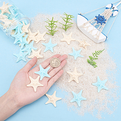 40Pcs 2 Colors Resin Cabochons&nbsp;RESI-PH0001-35
