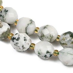 Natural Tree Agate Beads Strands&nbsp;G-N342-149I-09
