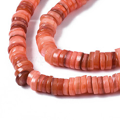 Natural Freshwater Shell Beads Strands&nbsp;SHEL-S278-025H