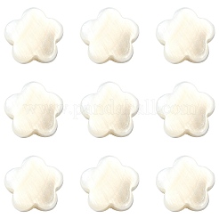30Pcs Electroplate Natural Freshwater Shell Beads&nbsp;SHEL-CJ0001-26
