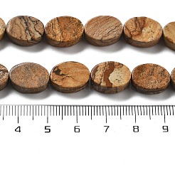 天然石ピクチャージャスパービーズ連売り  オーバル  14x10x5mm  穴：0.5mm  約28個/連  15.55''（39.5センチメートル）&nbsp;G-P559-B15-01