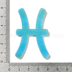 アクリルキーホルダーペンダント  12星座  魚座  55x34x2.5mm  穴：2mm&nbsp;SACR-S608-04D-01
