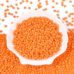 Baking Paint Glass Seed Beads&nbsp;SEED-N007-30H