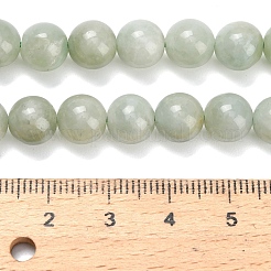 Natural Myanmar Jade/Burmese Jade Beads Strands&nbsp;G-L642-B11-8mm