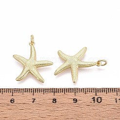 真鍮チャーム  ヒトデ  丸カン付き  16KGP本金メッキ  22x20x2mm  穴：3mm&nbsp;KK-T071-96G