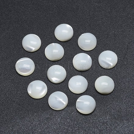 シェルカボション  半円  ホワイトスモーク  10x3~4mm&nbsp;SSHEL-P015-61-10mm-1