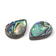 Abalone Shell/Paua Shell Beads&nbsp;SHEL-T005-02-2