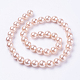 シェルパールビーズ連売り  ラウンド  ピンク  8mm  穴：1mm  約50個/連  15.7インチ&nbsp;X-BSHE-L035-8mm-I01-2