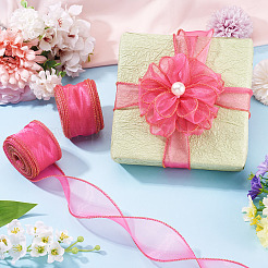 2 Rolls Polyester Mesh Ribbons&nbsp;SRIB-TA0003-42B