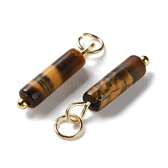 天然石タイガーアイペンダント  304ステンレススチールの丸カン付きコラムチャーム  ゴールドカラー  18.5~19x4~4.5mm  穴：3.5mm&nbsp;STAS-C120-01G-04