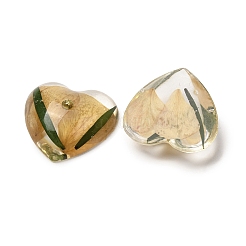Transparent Resin Cabochons&nbsp;RESI-K033-10