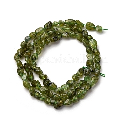 天然石ペリドットビーズ連売り  ナゲット  5~9x4~6x3~4.5mm  穴：0.7mm  約75~89個/連  15.35''（39cm）〜15.94''（40.5cm）&nbsp;G-I389-A27