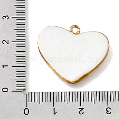 Handmade Porcelain & 304 Stainless Steel Pendants&nbsp;STAS-Z207-02G-01