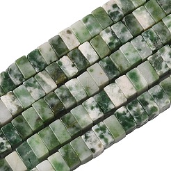 Natural Green Spot Jasper Beads Strands&nbsp;G-A280-C14-01