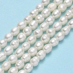 天然養殖淡水パールビーズ連売り  ライス  リネン  5~7x4~4.5mm  穴：0.6mm  約62~66個/連  13.78''（35センチメートル）&nbsp;PEAR-J006-14B-01