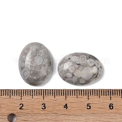 天然マイファナイトカボション  オーバル  20~20.8x15~15.5x5.8~6.5mm&nbsp;G-B080-01A-12