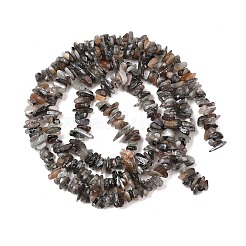 天然石ムーンストーンビーズ連売り  チップ  5~16mm  穴：0.8mm  15.75~16.14''（40~41センチメートル）&nbsp;G-A284-B01-01