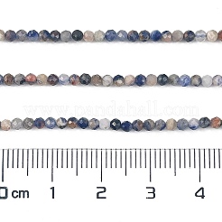 Natural Sodalite Beads Strands&nbsp;X-G-A097-A12-01