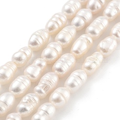 Natural Cultured Freshwater Pearl Beads Strands&nbsp;PEAR-P062-06B