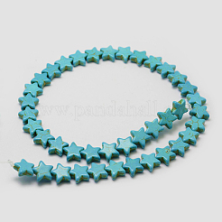 Synthetic Howlite Bead Strands&nbsp;X-G-P228-13-12x12mm