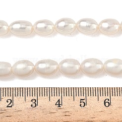 Natural Cultured Freshwater Pearl Beads Strands&nbsp;PEAR-P250307